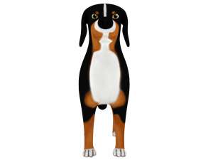bernese mountain Modello 3D