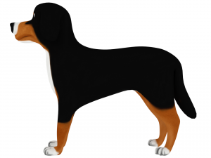 bernese mountain Modello 3D