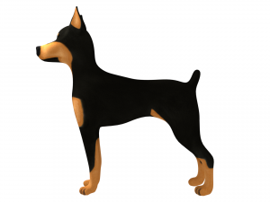 doberman 3D मॉडल