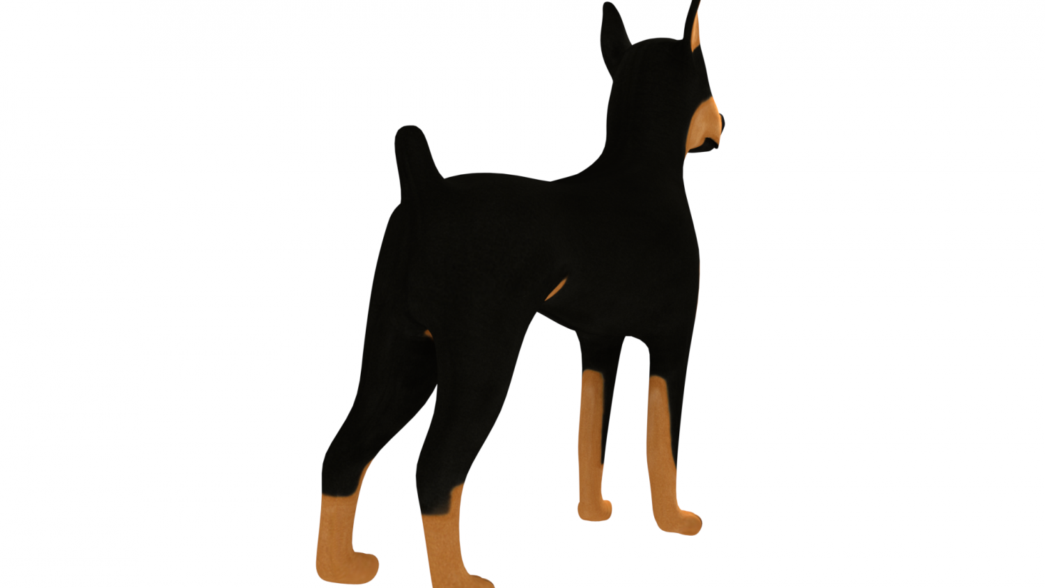 Doberman studio 3d на русском. Доберман в стиле арт. Как нарисовать добермана
