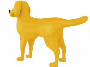 golden retriever Modelo 3D
