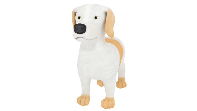 havanese 3D Модель .c4d .max .obj .3ds .fbx .stl .blend 