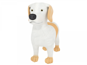 havanese 3D 모델