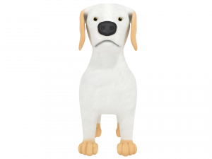 havanese 3D Модель