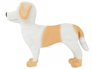 havanese 3D Модель