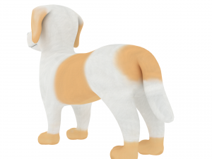 havanese 3D Модель