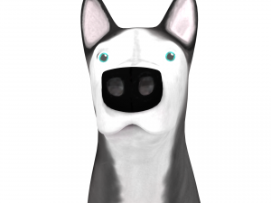 husky 3D 모델