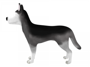 husky Modelo 3D