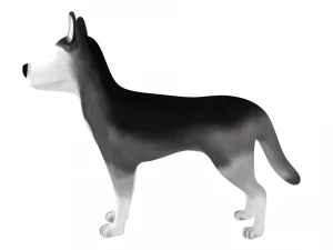 husky 3D Model