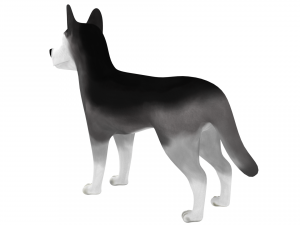 husky Modelo 3D