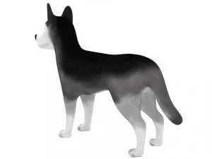 husky 3D Model