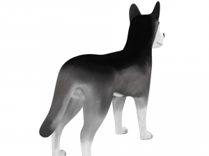 husky Modelo 3D