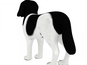 new foundland Model 3D