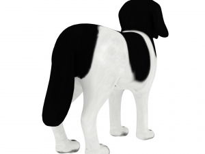 new foundland Model 3D