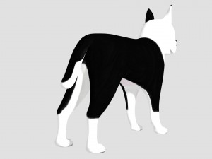 pitbull 3D-Modell