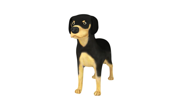 rotweiller 3D Model .c4d .max .obj .3ds .fbx .stl .blend 