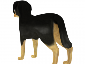 rotweiller 3D मॉडल
