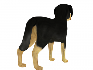 rotweiller 3D मॉडल