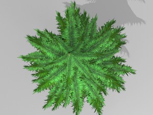 tree set 2 3D Model