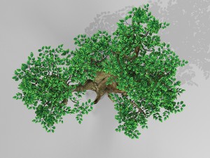 tree set 2 3D Model
