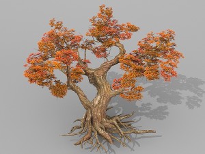 red tree 3D Model