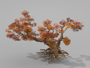 red tree Modèle 3D