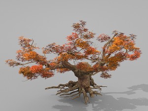 red tree Modèle 3D