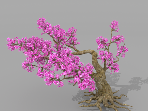 peach blossom tree 2 3D Модель
