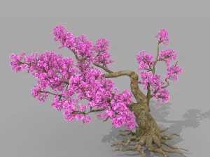 peach blossom tree 2 3D Model