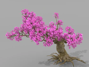 peach blossom tree 2 3D Model