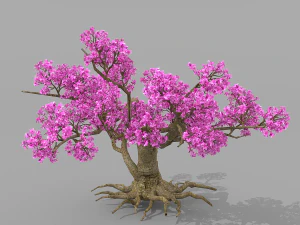 peach blossom tree 2 3D Model