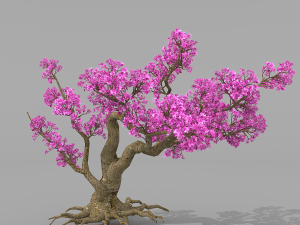 peach blossom tree 2 3D Модель