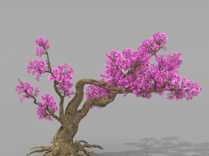 peach blossom tree 2 3D Модель