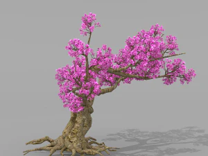 peach blossom tree 2 3D Model