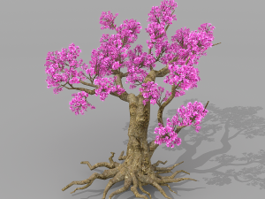 peach blossom tree 2 3D Модель