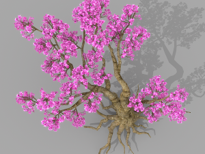 peach blossom tree 2 3D Модель