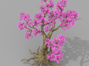 peach blossom tree 2 3D Модель