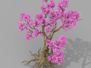 peach blossom tree 2 3D Model