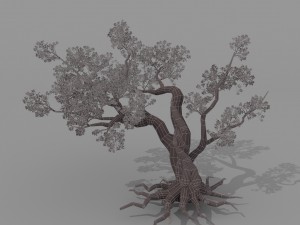 peach blossom tree 2 3D Модель