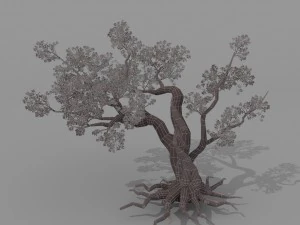 peach blossom tree 2 3D Model