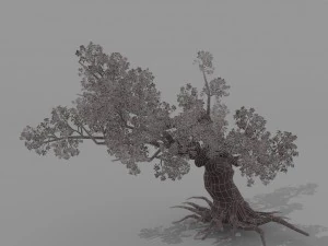 peach blossom tree 2 3D Model