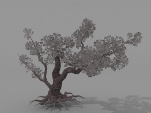peach blossom tree 2 3D Модель