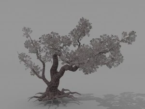 peach blossom tree 2 3D Model