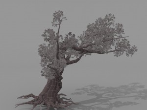 peach blossom tree 2 3D Модель
