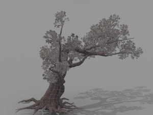 peach blossom tree 2 3D Model