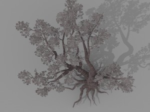 peach blossom tree 2 3D Модель