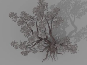 peach blossom tree 2 3D Model