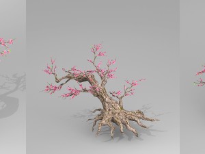 peach blossom tree 3D Model