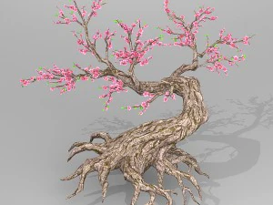 peach blossom tree 3D Model