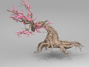 peach blossom tree 3Dモデル